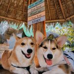 Ella Cruz Instagram - @takipsilimzmb 🌊 @dreamyandeclipse 🐾