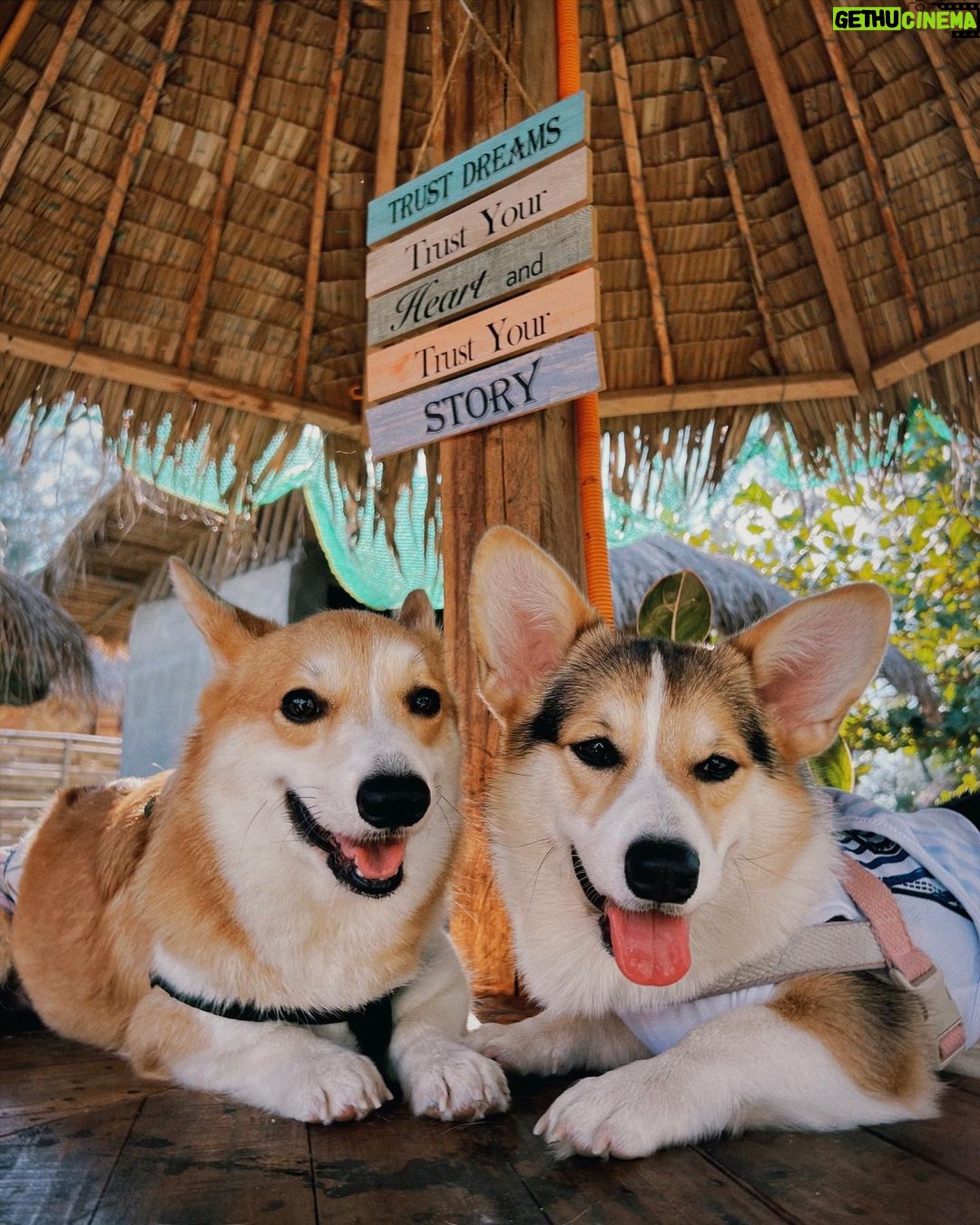 Ella Cruz Instagram - @takipsilimzmb 🌊 @dreamyandeclipse 🐾
