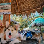 Ella Cruz Instagram - @takipsilimzmb 🌊 @dreamyandeclipse 🐾