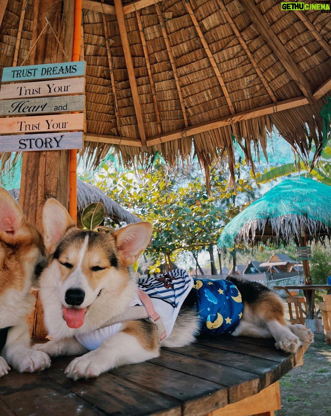Ella Cruz Instagram - @takipsilimzmb 🌊 @dreamyandeclipse 🐾