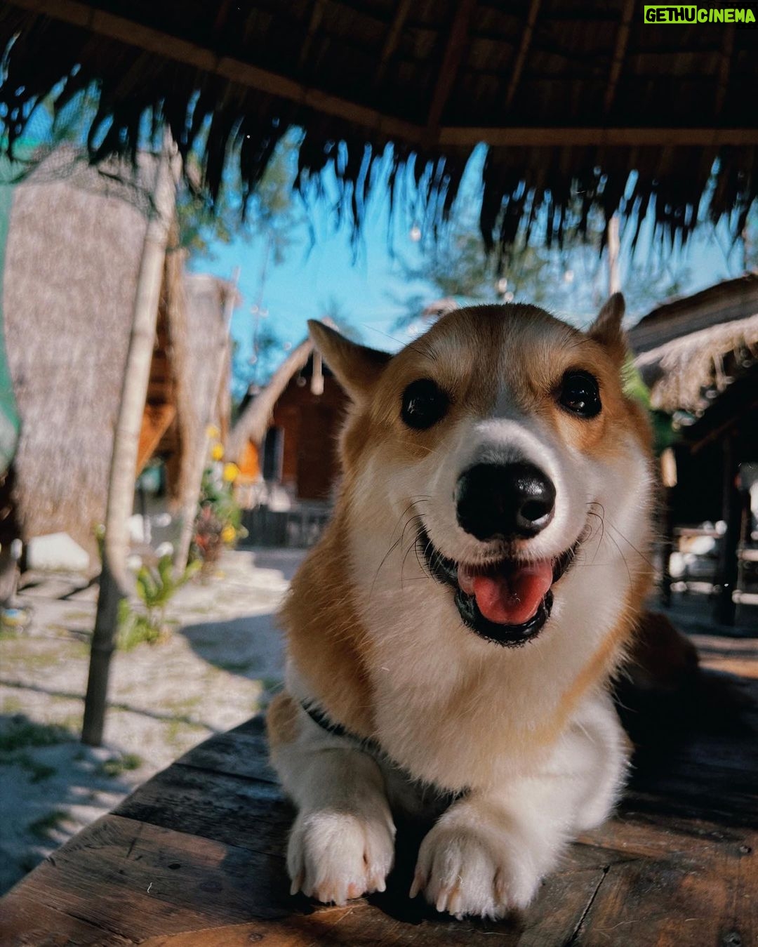 Ella Cruz Instagram - @takipsilimzmb 🌊 @dreamyandeclipse 🐾