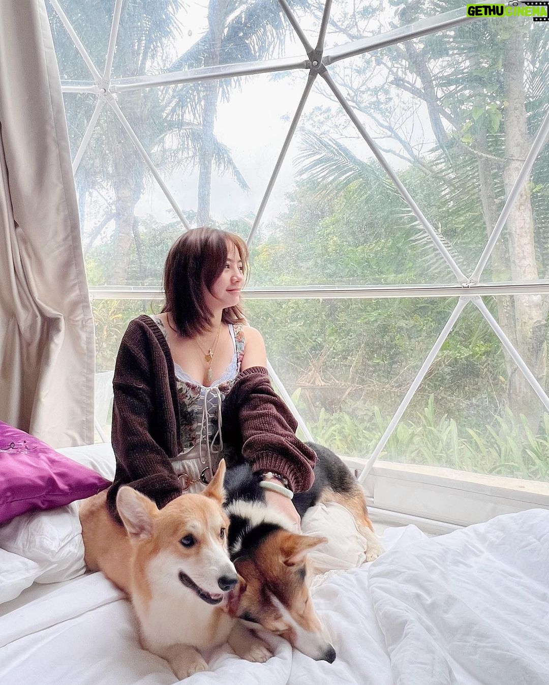 Ella Cruz Instagram - My chuchus ❤️🥰 Happy Christmas from me, Dreamy & Eclipse ✨ Shanti Wellness Sanctuary