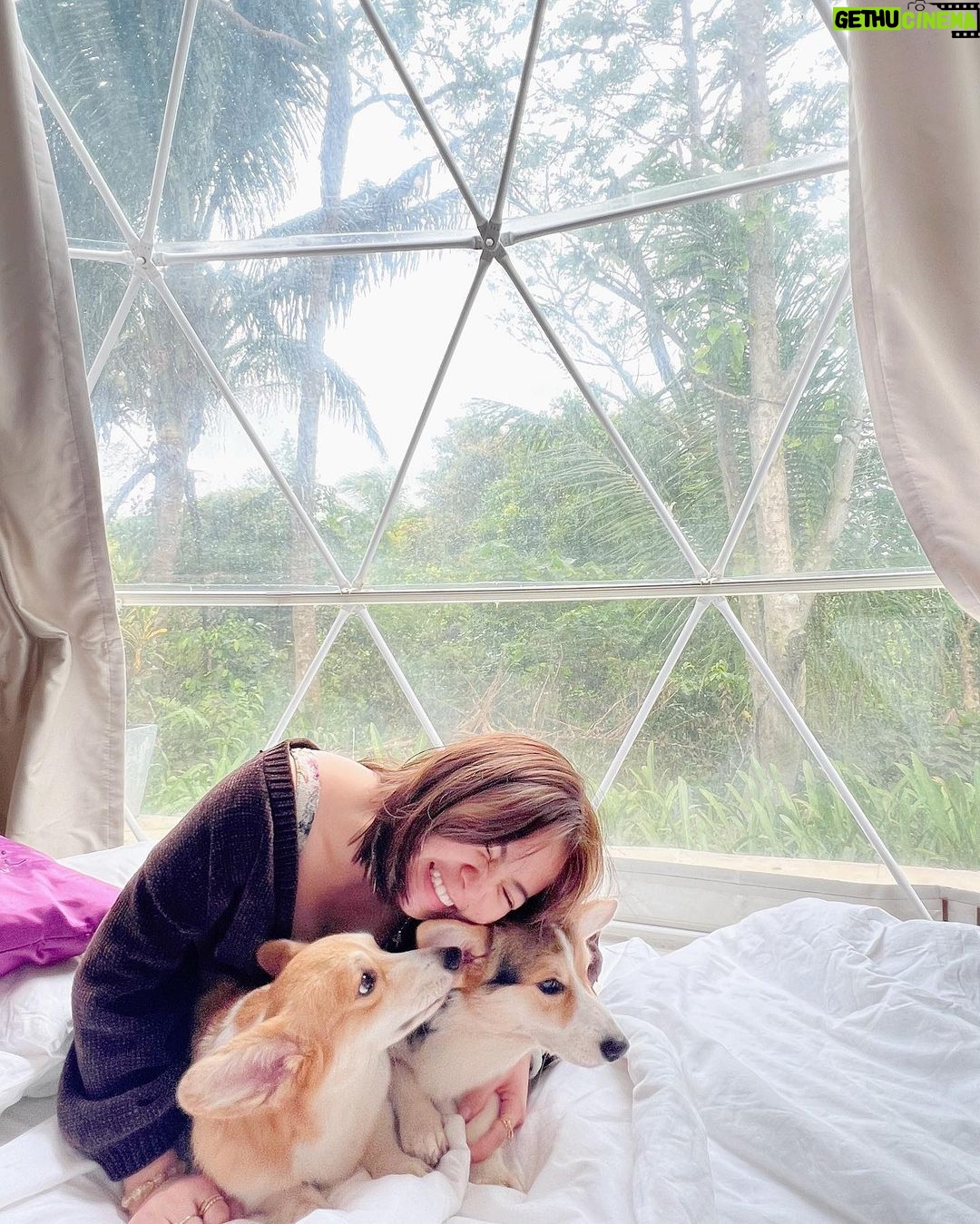 Ella Cruz Instagram - My chuchus ❤️🥰 Happy Christmas from me, Dreamy & Eclipse ✨ Shanti Wellness Sanctuary