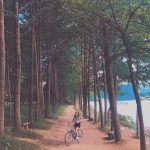 Ella Cruz Instagram – 🚲 korea 2018 Nami Island