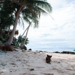 Ella Cruz Instagram – Tri – island 🏝️ boodle fight 🍗🍤 Siargao Island, Philippines