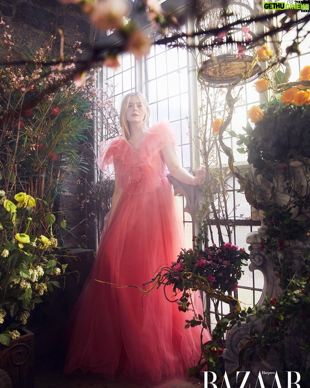 Elle Fanning - 521.4K Likes - 🪻@bazaaruk 🪻