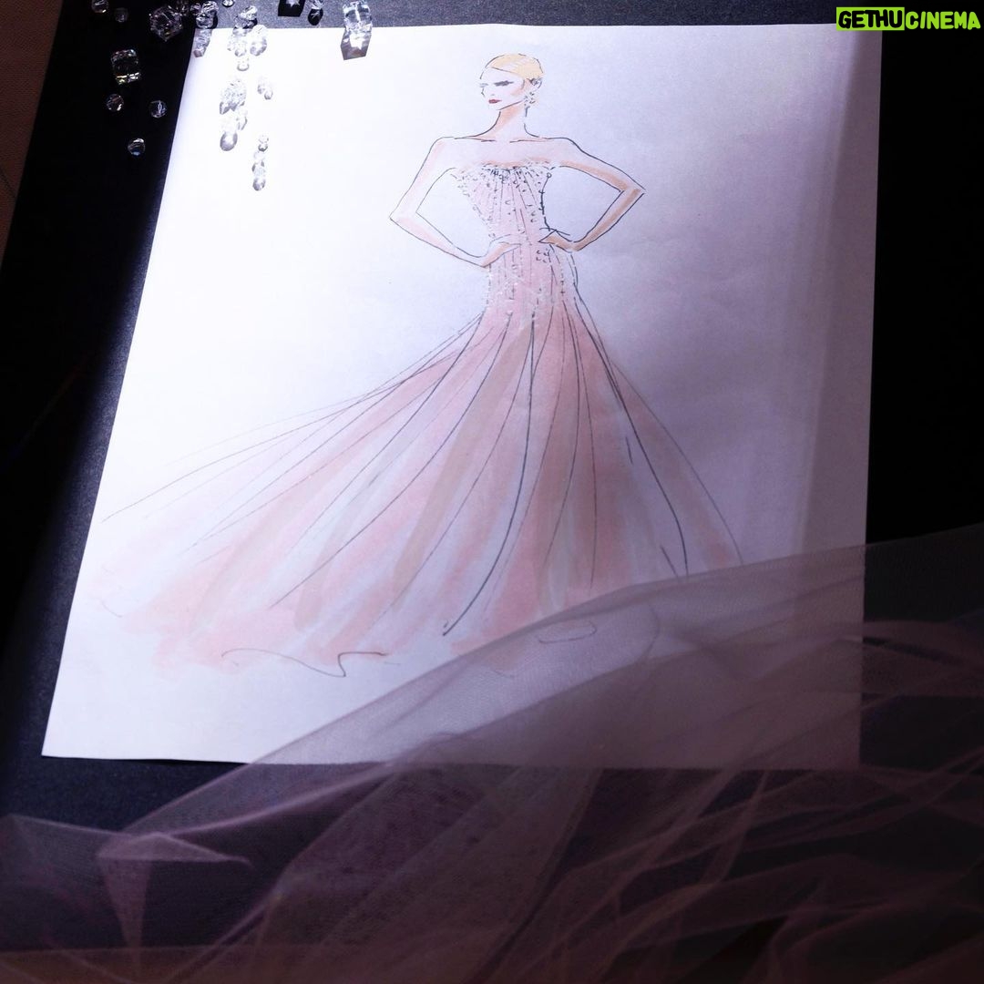Elle Fanning Instagram - The 6th slide couldn’t express it better.✨ @giorgioarmani made my dreams come true with this custom dress. Can I just wear it every day of my life?!!?✨ I can’t thank you enough for your continued kindness and artistry. Your work is nothing short of breathtaking✨