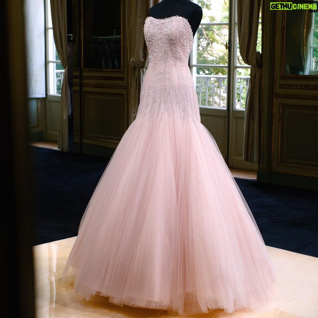 Elle Fanning Instagram - The 6th slide couldn’t express it better.✨ @giorgioarmani made my dreams come true with this custom dress. Can I just wear it every day of my life?!!?✨ I can’t thank you enough for your continued kindness and artistry. Your work is nothing short of breathtaking✨