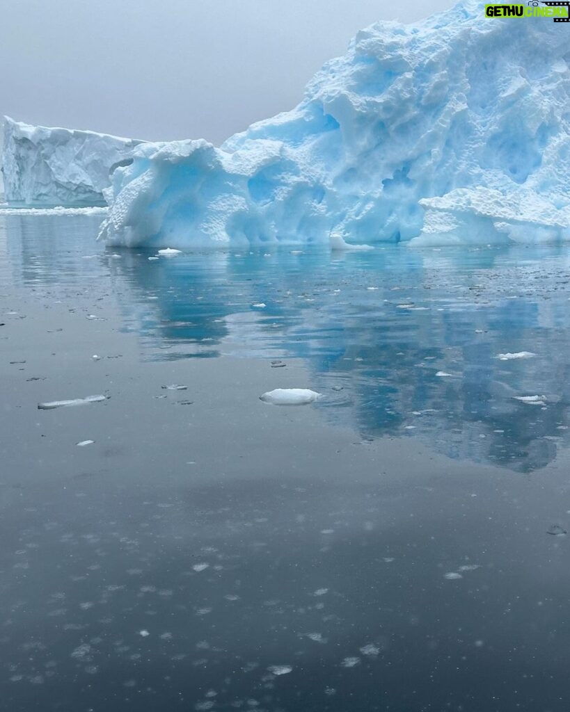 Ellen Adarna Instagram - ❤️🐧 #antarctica Danco Island