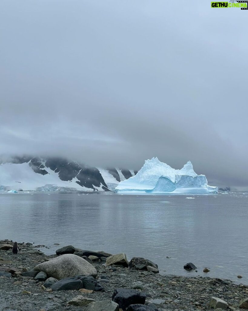 Ellen Adarna Instagram - ❤️🐧 #antarctica Danco Island