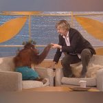 Ellen DeGeneres Instagram - What were we thinking having me do a 5 minute interview with an Orangutan on the show?