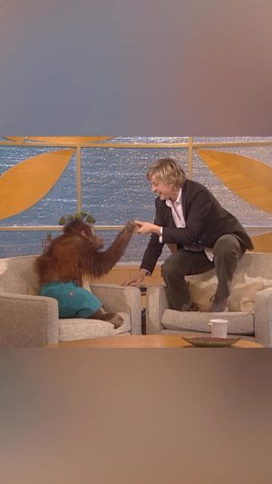 Ellen DeGeneres Instagram - What were we thinking having me do a 5 minute interview with an Orangutan on the show?