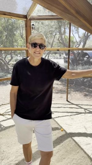 Ellen DeGeneres Instagram - If you had told me that, after my show, I would become a chicken influencer, I don’t know if I would have believed you, but here we are. Today I answered all of your pressing chicken questions. (The questions are pressing. No chickens were pressed in the making of this video.)
