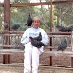 Ellen DeGeneres Instagram - Chicken Diary Day 7: They’ve begun to accept me as one of their own, except for Brenda who stares at me right in the eyes. I think she’s playing chicken. Linda keeps trying to sit on my head. She may think I’m an egg.