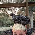 Ellen DeGeneres Instagram - Thanks for all the great chicken advice. Keep it coming. What does it mean when they sit on your head?
