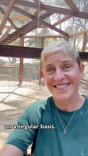 Ellen DeGeneres Instagram - Portia and I have been dreaming of this day for a long time and it’s finally here. We have chickens! If you have any great tips for raising chickens please share them with me. Also thank you to Jeremy and all of the amazing people at @Dare2DreamFarms who built this beautiful coop. Clearly I blurred out the chickens in this video to protect their privacy. I’m posting another video on my broadcast channel now!