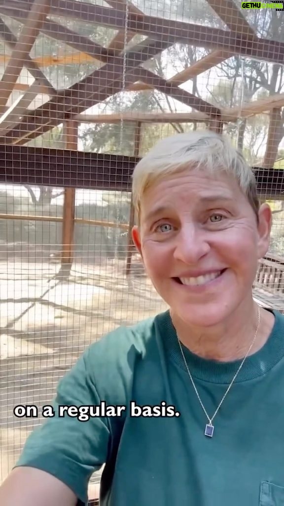 Ellen DeGeneres Instagram - Portia and I have been dreaming of this day for a long time and it’s finally here. We have chickens! If you have any great tips for raising chickens please share them with me. Also thank you to Jeremy and all of the amazing people at @Dare2DreamFarms who built this beautiful coop. Clearly I blurred out the chickens in this video to protect their privacy. I’m posting another video on my broadcast channel now!