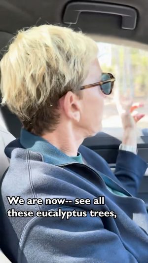 Ellen DeGeneres Instagram - Portia and I went on a drive the other day and I thought it was a perfect opportunity to give y’all a little tour of our neighborhood! And by “little” I mean it’s going by in a blur behind my head.