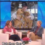 Ellen DeGeneres Instagram - If there was one thing I was going to ask my guests about… it’s their dogs. @melissamccarthy @salmahayek @kristenanniebell