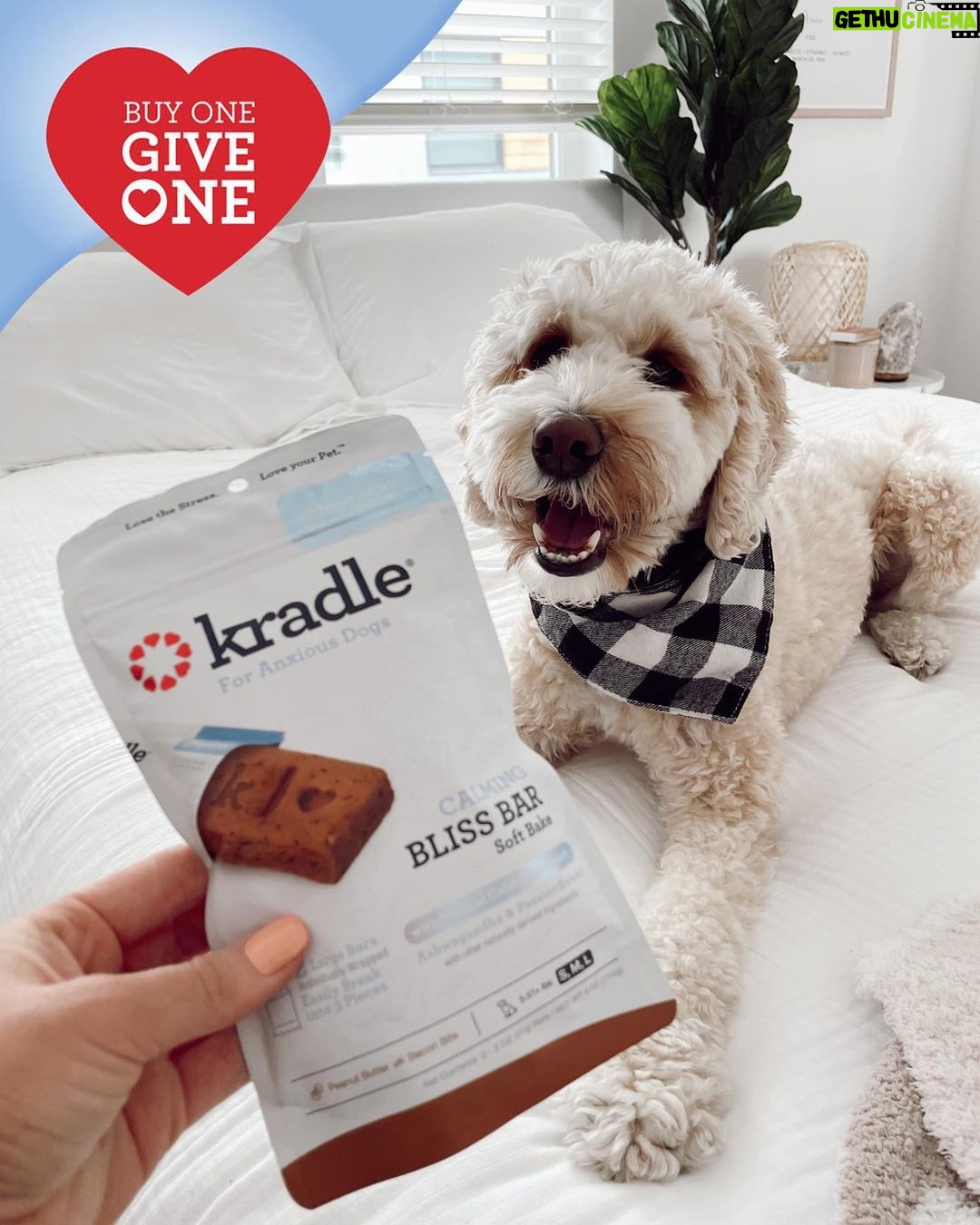 Ellen DeGeneres Instagram - If you love dogs like I do, I know you’ll love @kradlemypet’s Bliss Bars. You’ll also love how Kradle supports shelter pets because when you buy the 6-count Bliss Bars right now from Walmart, Kradle will donate one to a local shelter!