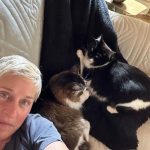 Ellen DeGeneres Instagram - Happy #NationalPetDay to this crew. ❤️