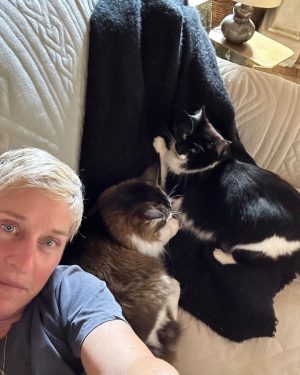 Ellen DeGeneres Instagram - Happy #NationalPetDay to this crew. ❤️
