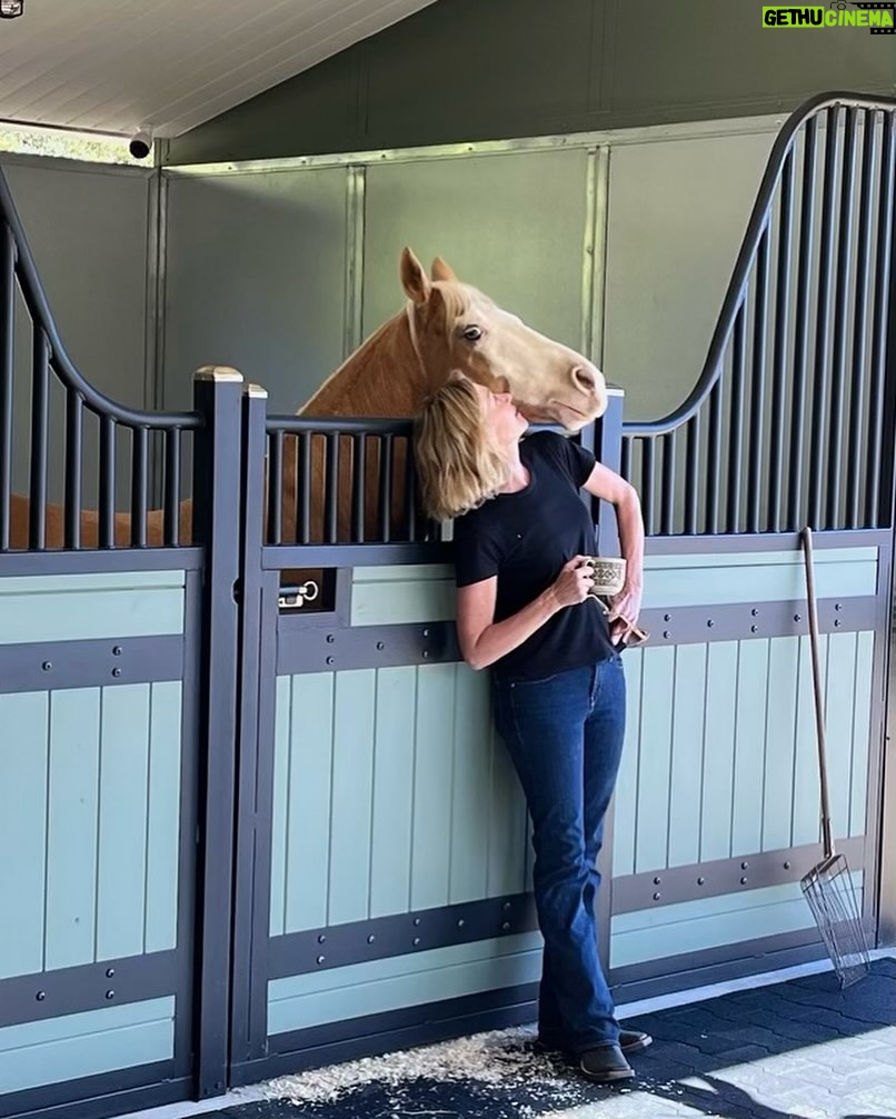 Ellen DeGeneres Instagram - Happy birthday to my amazing wife. You are the best thing that ever happened to me. You are a gift and I’m grateful for you everyday. I’m so lucky you love me almost as much as you love horses.