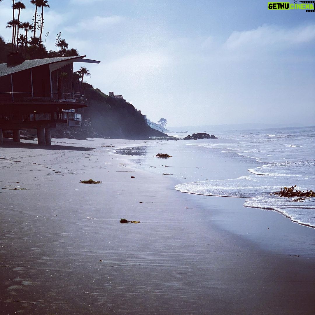Ellen Pompeo Instagram - Happy Leo season....a lot of my favorite people are Leoβs there is so much beauty in your strength πππππππππππ
