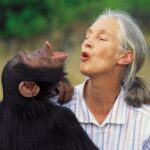 Ellen Pompeo Instagram – Happiest birthday Dr. Jane Goodall! โEvery individual matters. Every individual has a role to play. Every individual makes a difference.โ @janegoodallinst
The world is a better place because of you. Thank you for a lifetime of love and dedication to our planet, to the animal kingdom and to mankind.
http://www.janegoodall.org/donate/