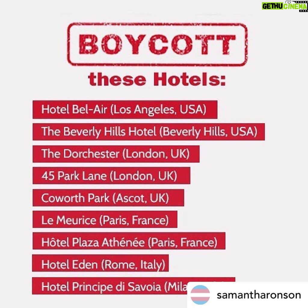 Ellen Pompeo Instagram - Yeah no this shit will not fly.... Human rights MATTER #BOYCOTTHESEHOTELS 🌈🌈🌈🌈🌈🌈🌈🌈🌈🌈🌈🌈🌈🌈Posted @withrepost • @samantharonson If you feel the need to respond with comments like- it won’t make a difference, please do us both a favour and don’t. Because it makes a difference to me and it sure as fuck makes a difference to them. It’s the actual least we can do..... would love to know more businesses the sultan of Brunei is invested in so I can boycott those also! #Repost @theellenshow ・・・ Tomorrow, the country of Brunei will start stoning gay people to death. We need to do something now. Please boycott these hotels owned by the Sultan of Brunei. Raise your voices now. Spread the word. Rise up.
