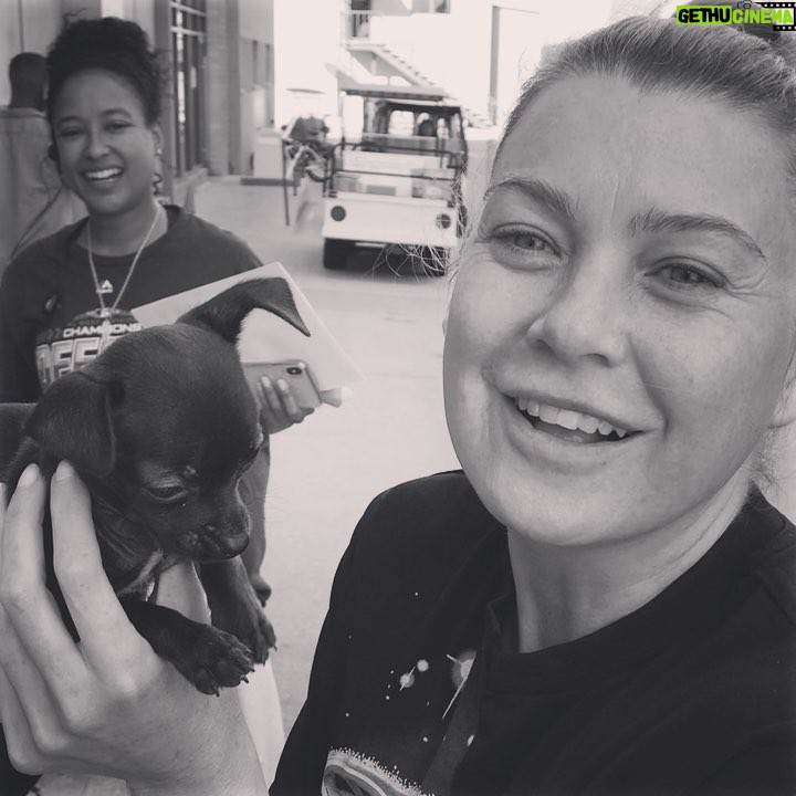 Ellen Pompeo Instagram - Finally I’ve found Meredith’s new love interest!! He a dog tho 😂😂😂😂😂😂😂😂😂😂😂 @greysabc #tgit #shondalandproblems @alexlandi7