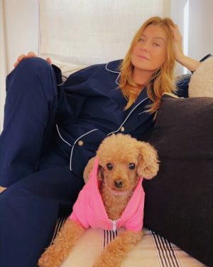 Ellen Pompeo Instagram - Shoutout to Sophia for holding down the set over here👏🏼
Thank you @wagmorpets for helping us find her!