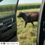 Ellen Pompeo Instagram - He's like ...why are humans so fucked up though? 😂