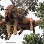Ellen Pompeo Instagram - Happy Friday