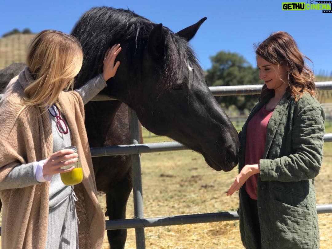 Ellen Pompeo Instagram - So grateful for our location today and for lovely souls like @caterinascorsone ❤️#shondalandproblems 😜💥