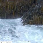 Ellen Pompeo Instagram - And we think TGIT is rough...all kidding aside... life knocks us all around and we need to be there to pick eachother up.. that includes our mother planet earth @natgeo @world_wildlife 🌏