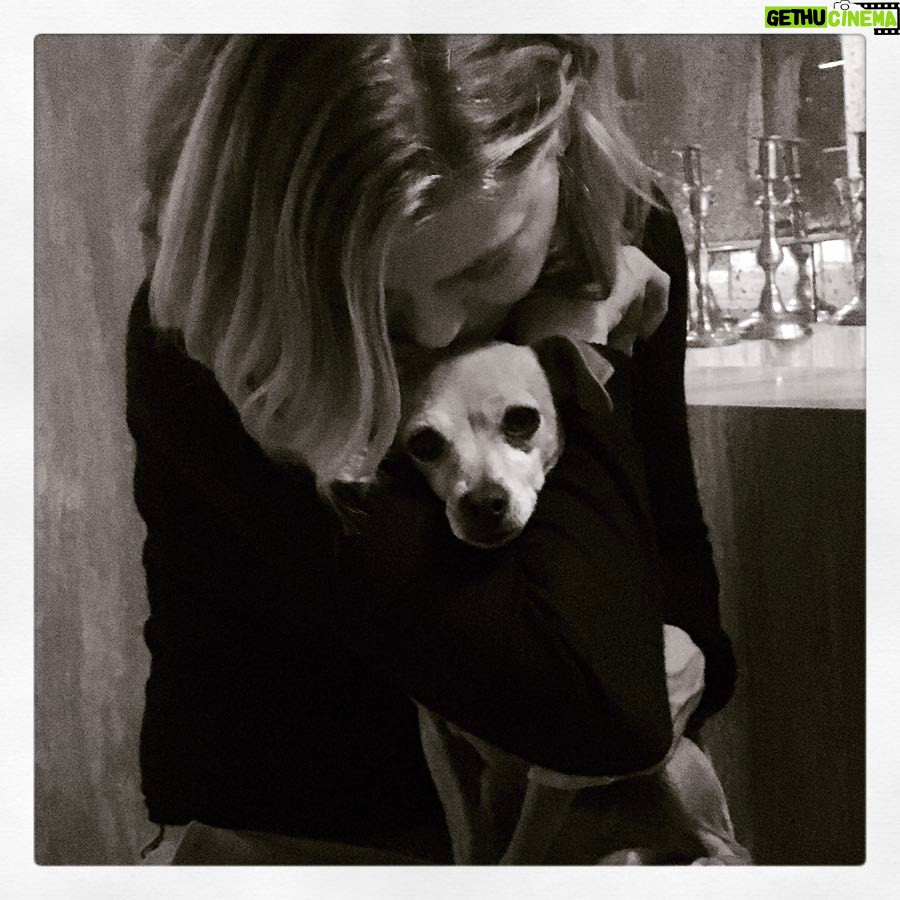 Ellen Pompeo Instagram - So grateful to @loveleorescue for my lily... she brings my whole family so much joy. Thanks to @rachaelray and #santapaws2017 for supporting @loveleorescue