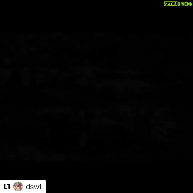 Ellen Pompeo Instagram - Thankful for all of those who have devoted their lives to causes much larger than themselves