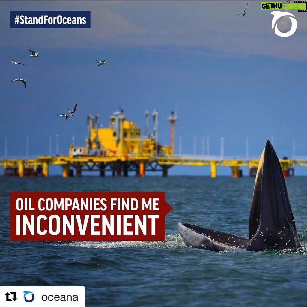 Ellen Pompeo Instagram - #Repost @oceana with @repostapp ・・・ The Marine Mammal Protection Act (MMPA) is the first line of defense for protecting whales, dolphins, and other marine mammals from harmful human activities in the ocean, like seismic airgun blasting and dangerous offshore drilling. Together, we can defend whales – but your member of Congress needs to hear from you. Click the link in our bio to add your name NOW. It takes 1 minute!! Do it please!!!