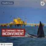 Ellen Pompeo Instagram - #Repost @oceana with @repostapp ・・・ The Marine Mammal Protection Act (MMPA) is the first line of defense for protecting whales, dolphins, and other marine mammals from harmful human activities in the ocean, like seismic airgun blasting and dangerous offshore drilling. Together, we can defend whales – but your member of Congress needs to hear from you. Click the link in our bio to add your name NOW. It takes 1 minute!! Do it please!!!