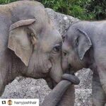 Ellen Pompeo Instagram - Happy Friday ❤️