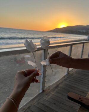 Elliana Walmsley Instagram - a day in malibu