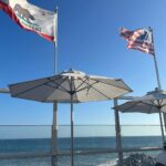 Elliana Walmsley Instagram - a day in malibu