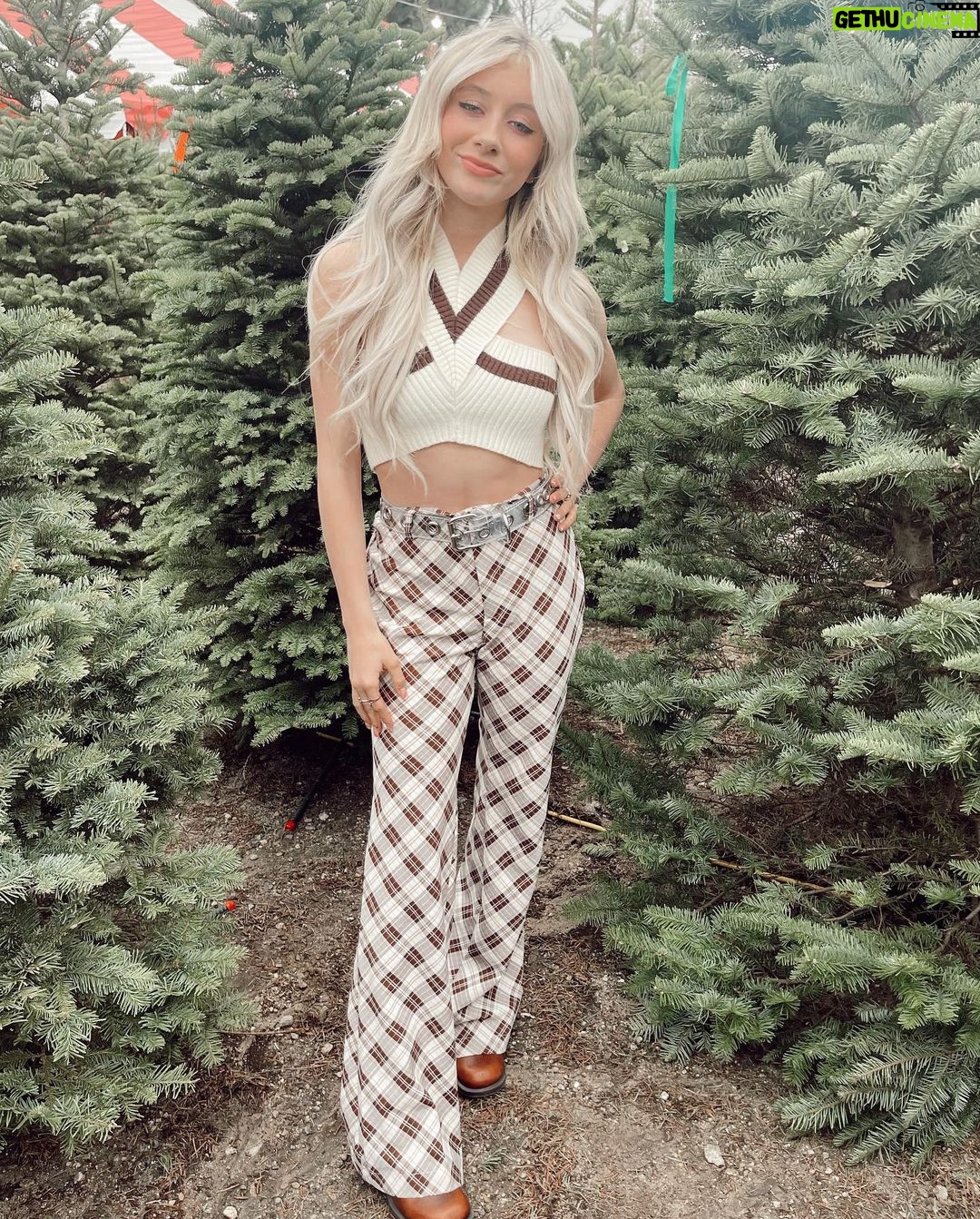 Elliana Walmsley Instagram - o christmas tree 🌲 Montrose