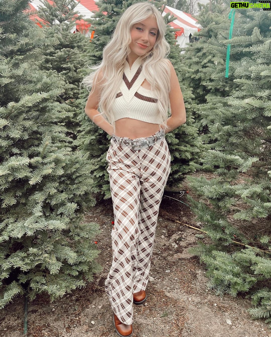 Elliana Walmsley Instagram - o christmas tree 🌲 Montrose