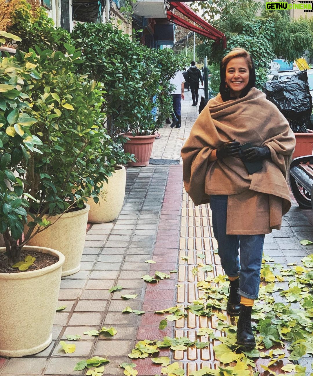 Elnaz Habibi - 141.3K Likes - پادشاه فصل ها
پاییز🍂