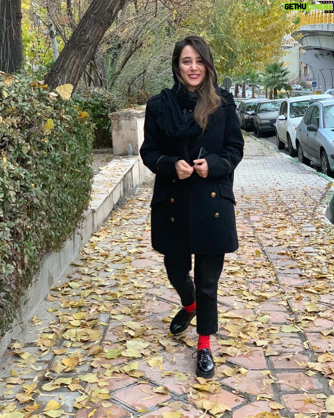 Elnaz Habibi - 133K Likes - 🍂 دنيا يعنى محاسن پاييز