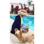 Elnaz Habibi Instagram - summer#🌞👒👓