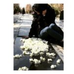 Elnaz Habibi Instagram - ‎...الهى ‎هيچكس وقت دلتنگى ‎جاى تن گرم مادرش ‎سنگ قبر سرد و بغل نگيره ‎١١سال گذشت