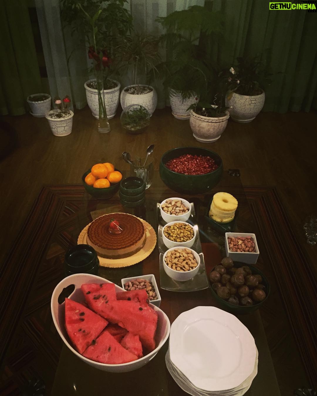 Elnaz Habibi Instagram - من انارى را ميكنم دانه به دل مى گويم خوب بودن اين مردم دانه هاى دلشان پيدا بود سهراب سپهرى